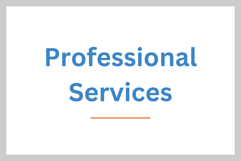 Professional Services